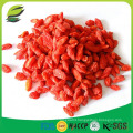 Chinese ningxia dried wolfberries